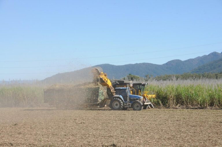 Usinas brasileiras cancelam contratos de exportação de açúcar e passam a produzir etanol
