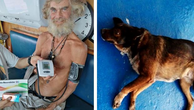 Velejador australiano e sua cachorrinha são resgatados após passarem 2 meses à deriva no oceano