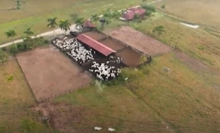 STF confirma possibilidade de desapropriação de terras mesmo se produtivas