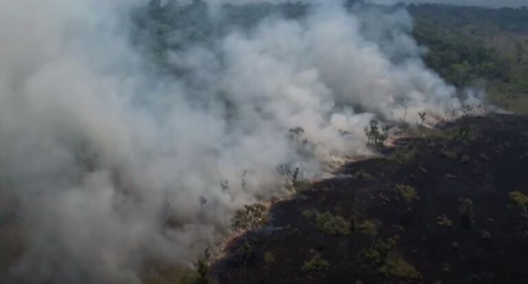 Amazonas tem pior índice de queimadas para outubro dos últimos 25 anos