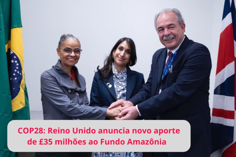 Reino Unido anuncia mais doação para o Fundo Amazônia, agora de R$ 215 milhões