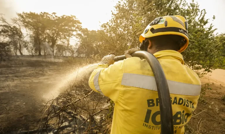 Dino dá 15 dias para o governo mobilizar combate aos incêndios no Pantanal e na Amazônia