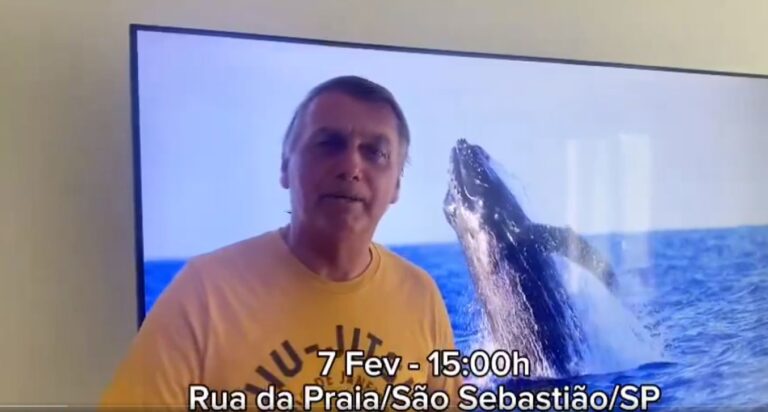 Polícia Federal não vê crime de Bolsonaro no ‘caso Baleia’