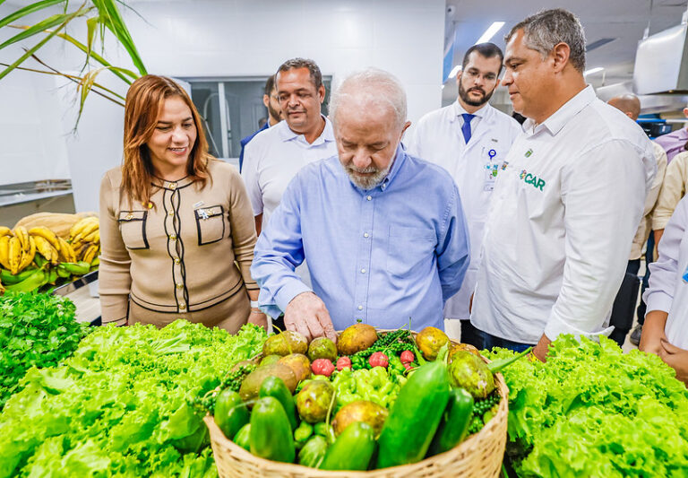 Governo Lula venderá arroz com rótulo próprio e preço tabelado