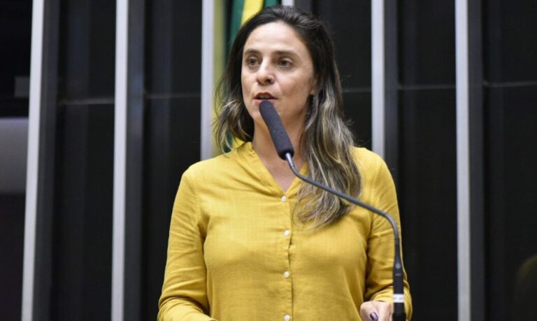 Conselho de Ética arquiva ação contra deputada do Psol que ligou Bolsonaro a organizações criminosas