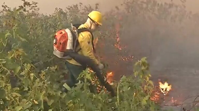 Fogo no Pantanal destrói o equivalente a 680 mil campos de futebol