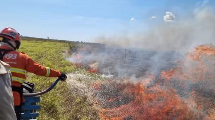 Brasil lidera queimadas na América do Sul em junho