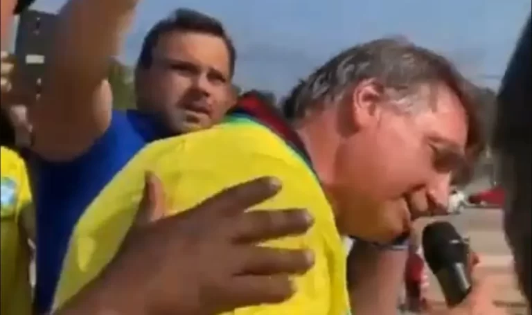 Ex-presidente Bolsonaro encerra discurso após ser atacado por abelhas