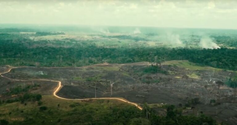 Julho registra recorde de queimadas na Amazônia em quase duas décadas