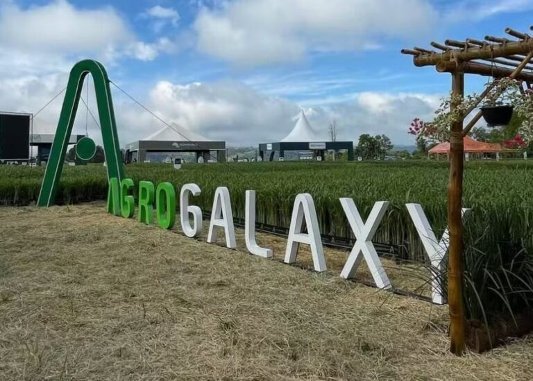 Uma das maiores distribuidoras de insumos agrícolas do Brasil pede recuperação judicial