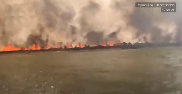 Barreira de fogo se forma durante incêndio em área do Parque Indígena Xingu, em MT