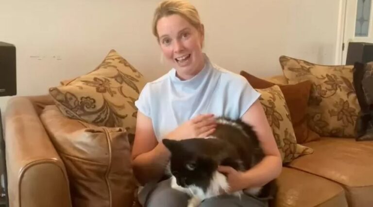 Gato dado como morto e cremado reaparece em casa 4 dias depois