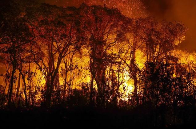Agosto registra terceira maior área queimada desde 2003, com 110 mil km² devastados
