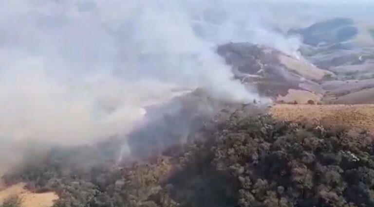 Governo do RJ fecha 40 parques de conservação para combater incêndios florestais