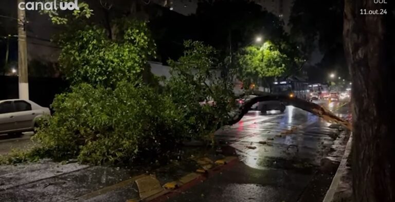 Forte tempestade atinge São Paulo, derruba árvores, afeta trens e deixa bairros sem luz