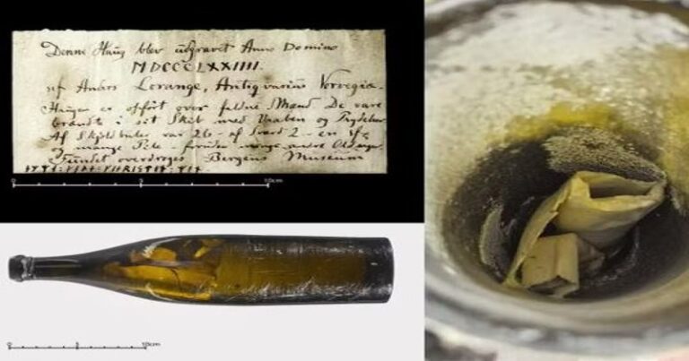 Garrafa com mensagem de amor deixada por arqueólogo é aberta após 150 anos