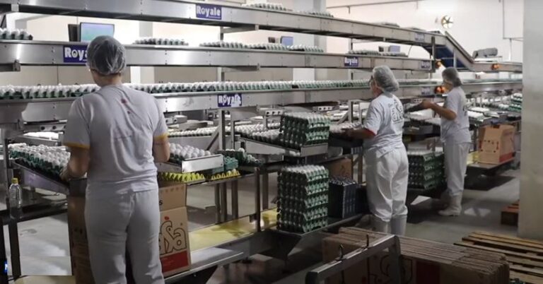 Dono da Granja Faria compra 2º maior produtor de ovos da Espanha