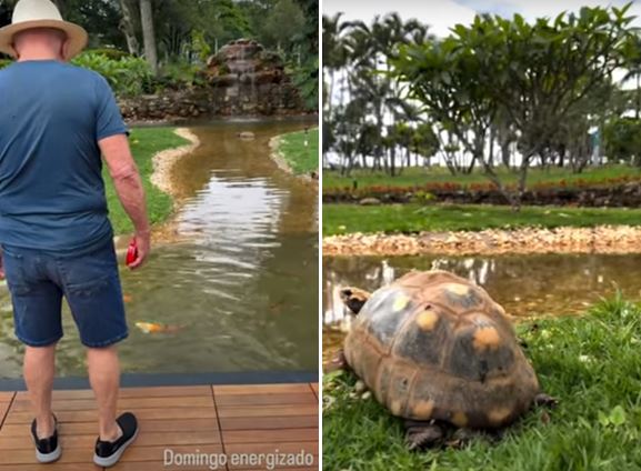 Lula e Janja exibem reforma na Granja do Torto com cascata e lago revitalizado
