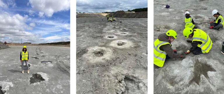Pegadas de dinossauros revelam “rodovia pré-histórica” no Reino Unido