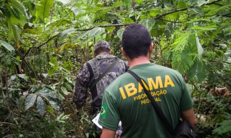 Ibama classifica pirarucu como ‘espécie invasora’ e causa revolva no setor