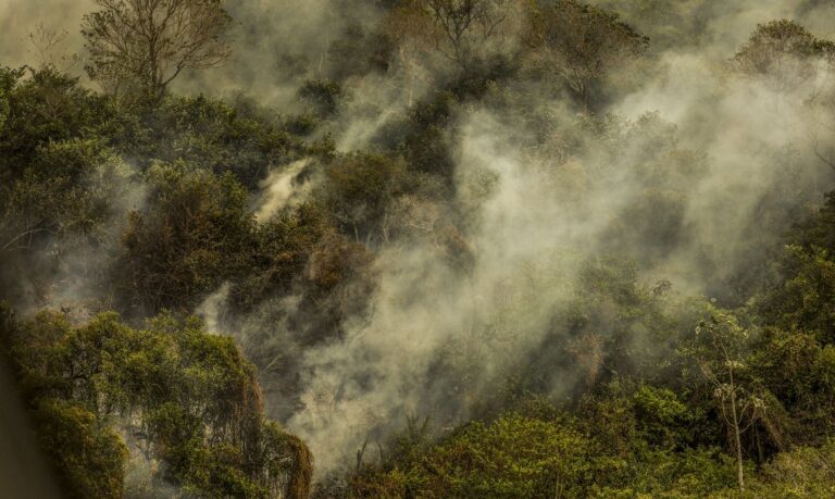 Brasil registra 278,2 mil focos de incêndio em 2024, recorde desde 2010