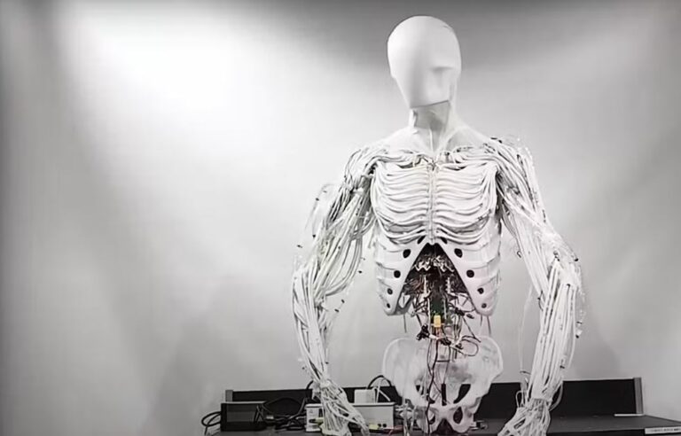 Empresa lança robô com ‘músculos’ que imita movimentos humanos