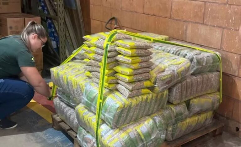 Governo apreende 32 toneladas de arroz e feijão vendidos com qualidade enganosa