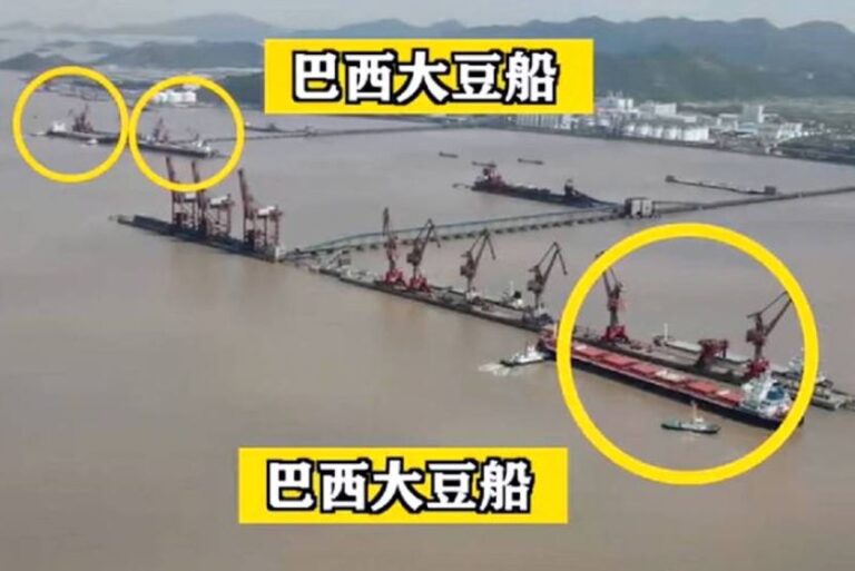 China divulga chegada de soja brasileira e desafia EUA