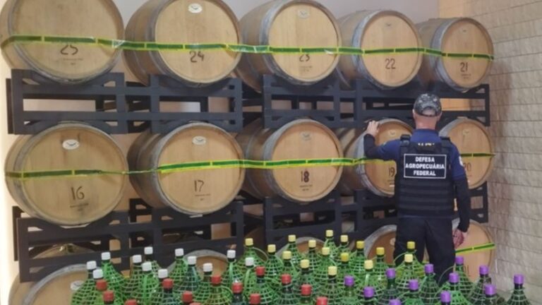 Governo apreende vinhos e vinagres irregulares