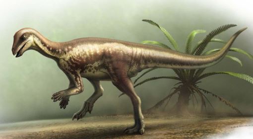 Dinossauro ‘do tamanho de um cachorro’ é identificado por cientistas