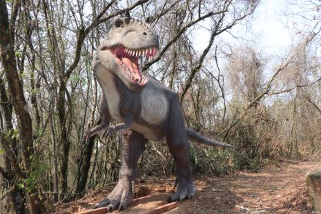 10 cidades para visitar museus e conhecer a história dos dinossauros em SP