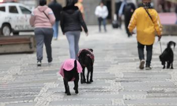 Região no RJ registra menor temperatura do ano: -9,4ºC