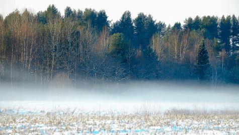 As 10 cidades mais frias do Brasil: temperaturas abaixo de zero e até neve