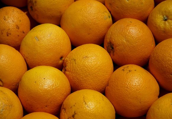Produtores brasileiros se dizem preocupados após tarifa dos EUA