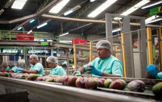 Exportação do agro do Brasil para os EUA desaba 40% em setembro