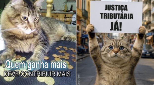 Governo Lula usa meme de gatinhos para defender aumento do IOF