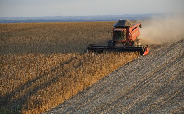 Enquanto é criticado, agro salva o PIB do Brasil em 2025