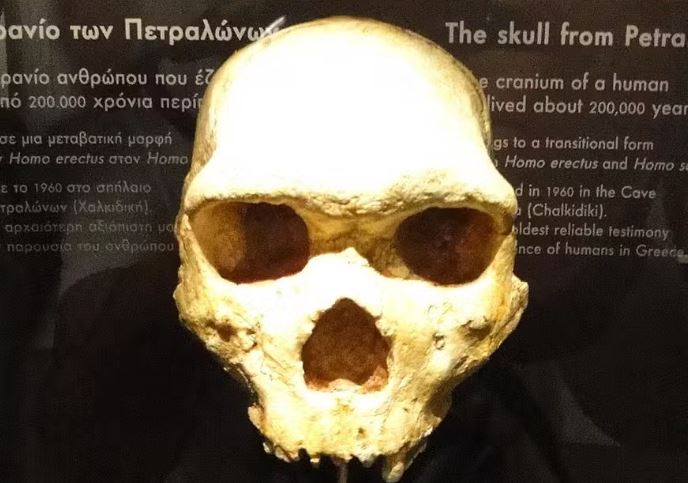 Crânio de 300 mil anos achado na Grécia pode não ser humano moderno nem neandertal
