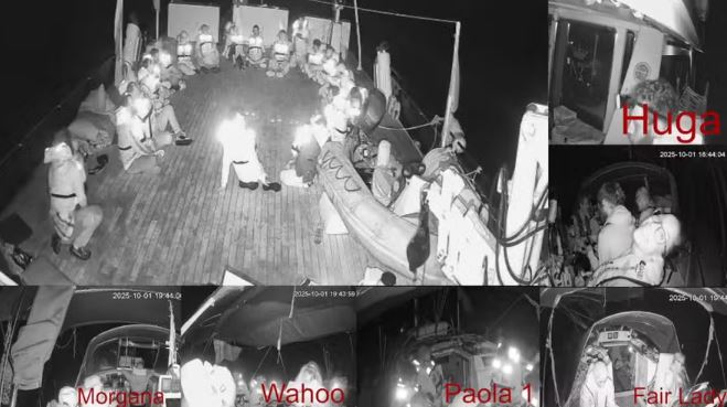 Embaixada do Brasil vai visitar brasileiros detidos em flotilha da Greta