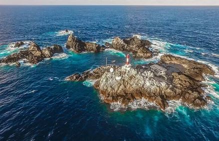 Estudo aponta: ilhas brasileiras estão entre as mais importantes do mundo em biodiversidade marinha