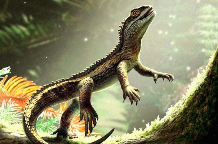 Fóssil de 242 milhões de anos revela o mais antigo ancestral de lagartos e cobras