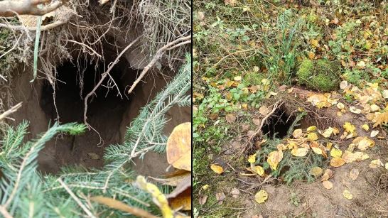 Túnel secreto é descoberto na fronteira entre Bielorrússia e Polônia