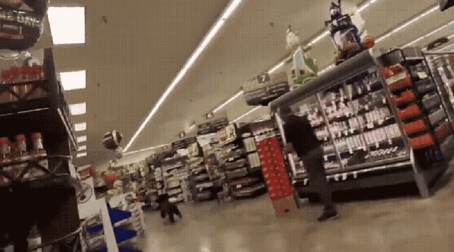 Urso invade supermercado no Arizona e causa susto em clientes