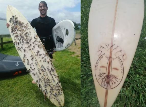 Homem encontra prancha que se perdeu por 2.400 km no mar e devolve ao dono