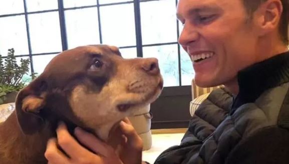 Tom Brady revela que cadelinha adotada, na verdade, é um clone