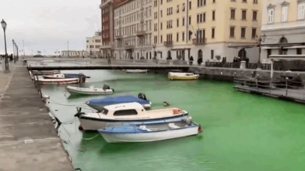A punição a Greta por vandalizar canal de Veneza com tinta; assista