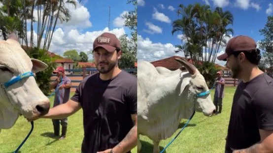 Cantor sertanejo encontra pela 1ª vez vaca de R$ 54 milhões que comprou
