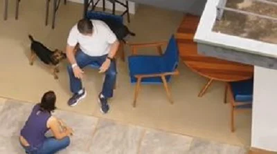 Vídeo mostra Bolsonaro brincando com seus cachorros ao chegar em casa