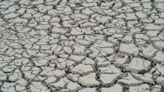 Governo Lula decreta situação de emergência no nordeste