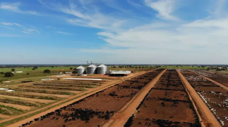 Gigantes do campo: conheça as 5 maiores fazendas do Brasil